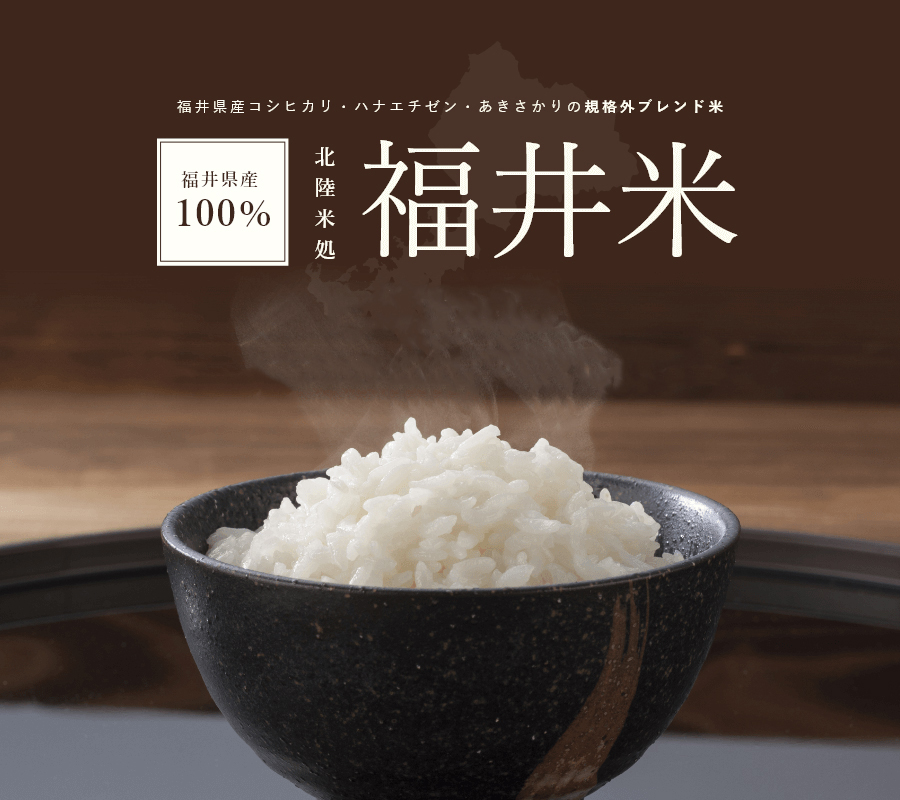 福井県産　精米　福井米　福井精米　令和5年　福井精米　通販　白米　10kg　ヤマキシオンラインショップ